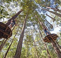 TreeTop Adventure Park Central Coast - Tourism Guide