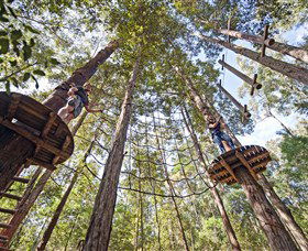 TreeTop Adventure Park Central Coast - Tourism Guide 0