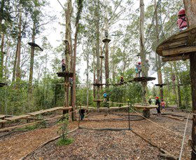 TreeTop Adventure Park Central Coast - Tourism Guide 5