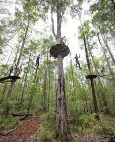 TreeTop Adventure Park Central Coast - Tourism Guide 4
