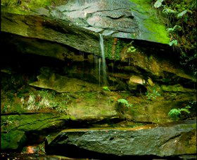 Niagara Park NSW Tourism Guide