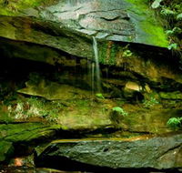 Strickland State Forest - Tourism Guide