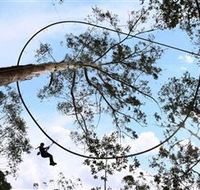 TreeTops Crazy Rider - Tourism Guide