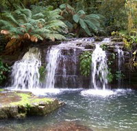 Barrington Tops National Park Walks - Travel Search
