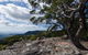 Illawarra Lookout Walking Track - thumb 2