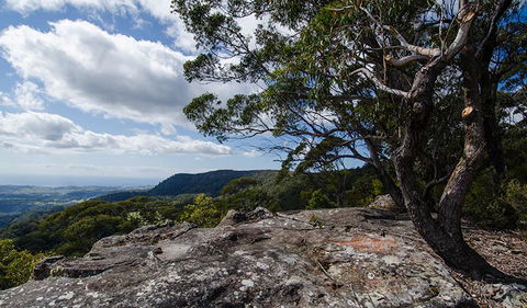 Illawarra Lookout Walking Track - Travel Agents 2