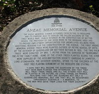 Anzac Memorial Avenue Redcliffe - Tourism Guide