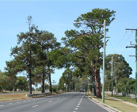 Anzac Memorial Avenue, Redcliffe - Tourism Guide 2
