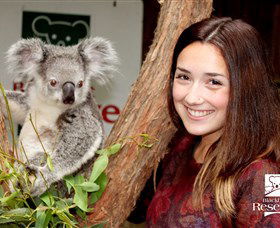 New Lambton NSW Cruises Travel
