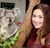 Blackbutt Reserve - Cruises Travel