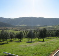 Hastings Valley Olives - Travel Search
