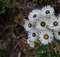 Hastings Forest Way touring route - Travel Search