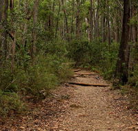 Pigeon House Mountain Didthul walking track - Tourism Guide