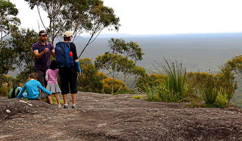 Pigeon House Mountain Didthul Walking Track - Tourism Guide 2