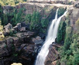 Minnamurra Rainforest Centre: Budderoo National Park - Tourism Guide 0