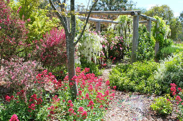 Ivy Hill Gallery - Travel Agents 6