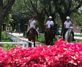 Centennial Parklands Horse Ride - Tourism Guide 1