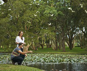 Centennial Parklands - Tourism Guide 3