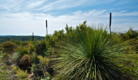 Munmorah State Conservation Area - Tourism Guide 1