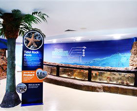 Sea Life Sunshine Coast - Tourism Guide 2