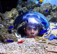 Sea Life Sunshine Coast - Tourism Guide