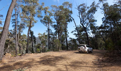 Wadbilliga Road Drive - Tourism Guide 0