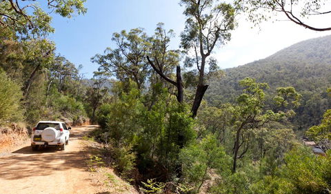 Wadbilliga Road Drive - Tourism Guide 1