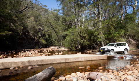 Wadbilliga Road Drive - Tourism Guide 2