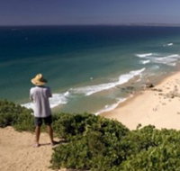 Redhead Beach - Tourism Guide
