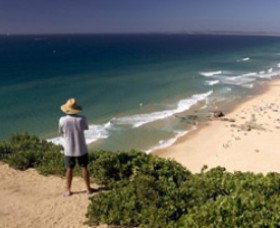 Redhead Beach - Tourism Guide 0