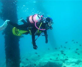 Shellharbour Scuba & Photography Centre - Travel Agents 0