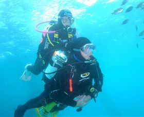 Shellharbour Scuba & Photography Centre - Travel Agents 1