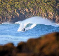 Killalea Beach - Tourism Guide