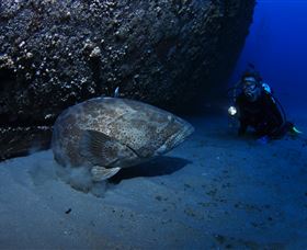 HMAS Brisbane Dive Site - Cruises Travel 3