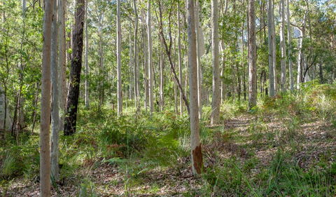 Corramy Regional Park - Tourism Guide 1
