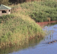 Spring Creek Bird Hide - Tourism Guide