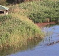 Spring Creek Wetlands Walk - Tourism Guide