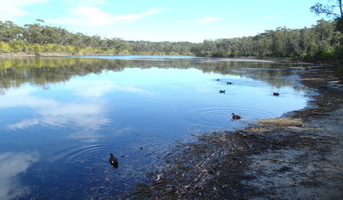 Conjola National Park - Tourism Guide 1