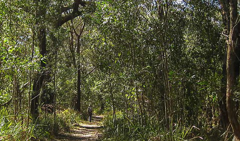 Sand Track Walk (south) - Travel Agents 0