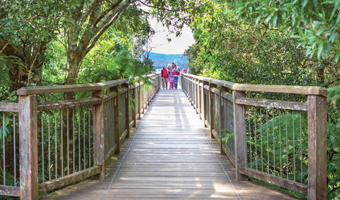 Skywalk Lookout - Tourism Guide 0