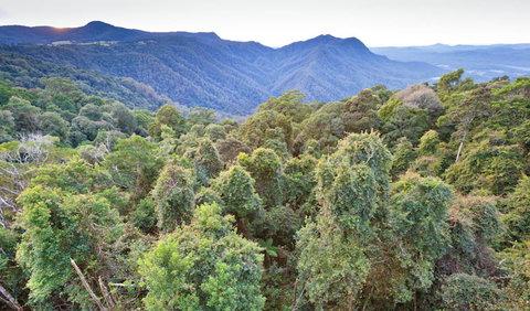 Skywalk Lookout - Tourism Guide 2