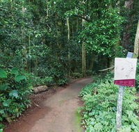 Walk with the Birds boardwalk - Travel Search