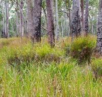 Narrawallee Inlet walking track - Tourism Guide