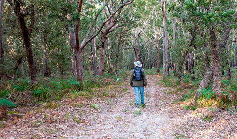 Narrawallee Inlet Walking Track - Tourism Guide 1