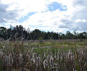 Jabiru Geenbeebeinga Wetlands - Tourism Guide 1