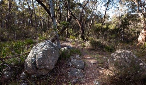 Wadbilliga National Park - Tourism Guide 2