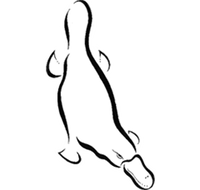 Platypus Gallery - Tourism Guide