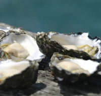 Jim Wilds Oyster Service - Tourism Guide