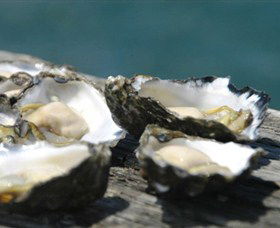 Jim Wilds Oyster Service - Tourism Guide 0