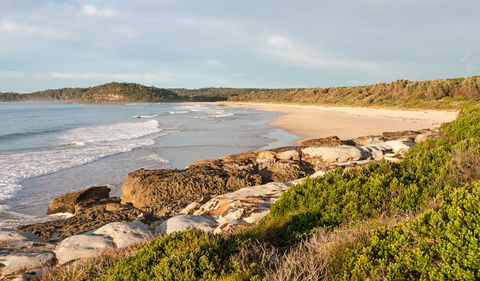 Burrawang Track - Conjola Beach To Buckleys Point - Tourism Guide 0
